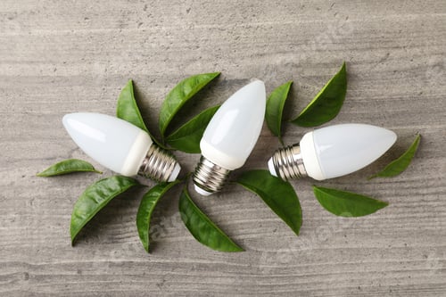 Preview: Energy saving bulbs with leaves on gray textured background