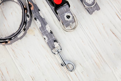 Preview: Dog Collar and Leash set. Pet Supplies and Walking Gear Collection