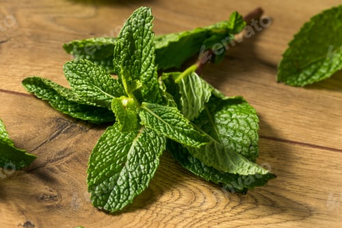 Preview: Raw Green Organic Fresh Mint