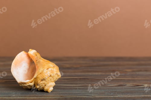 Preview: Summer time concept with sea shells or starfish on a table background with copy space for text