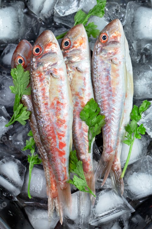 Preview: Fresh fish (Mullus barbatus ponticus)