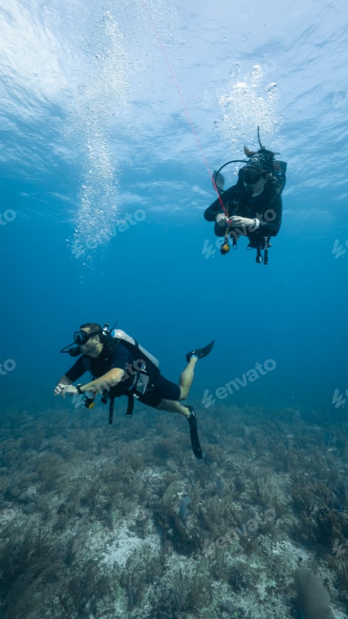 Preview: The loving couple dives among corals and fishes in the ocean