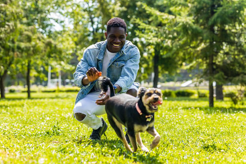 Preview: latin american man walking with his cute dog at sunny day in city park lawn on the grass