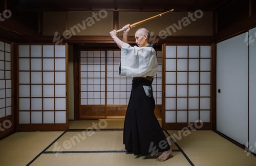 Preview: Senior martial art master in his dojo