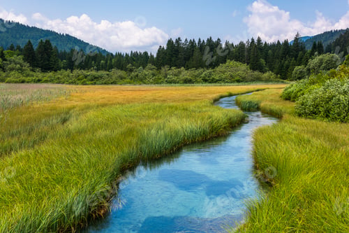 Preview: Sava River in Zelenci Springs, Slovenia Nature Landscape