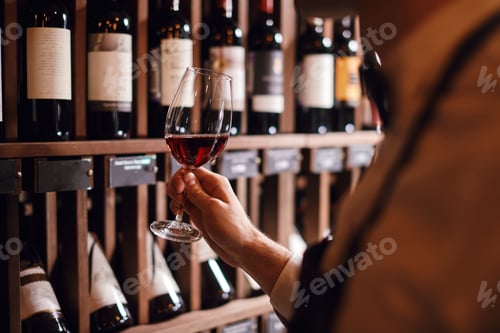 Preview: Wine expert holds a glass of wine, looks at tint and smells flavor, degustating