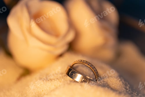 Preview: Golden rings