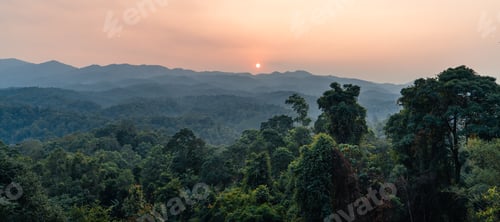 Preview: landscape, summer scenery on the mountain in the evening