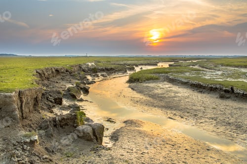 Preview: Tidal channel marshland Ameland