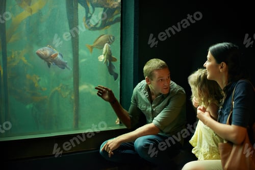 Preview: Shes focused on those fish. Cropped shot of a little girl on an outing to the aquarium.