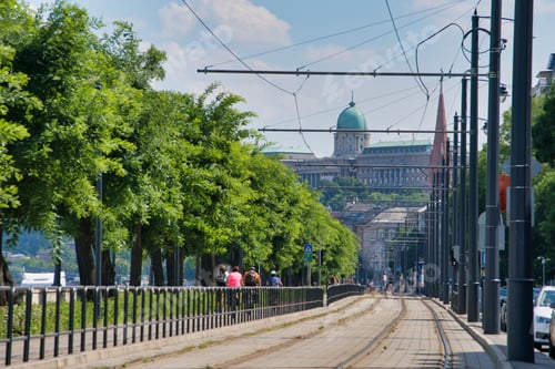 Preview: Beautiful view of an asphalt street and pavements with some green trees around in Budapest