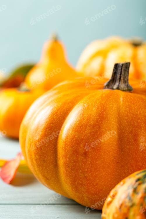 Preview: Autumn pumpkin thanksgiving background