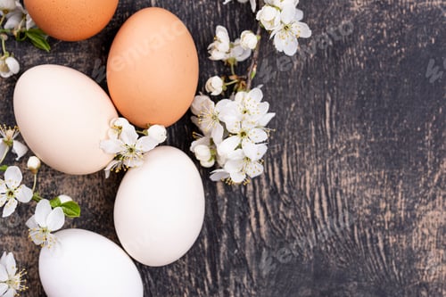 Preview: Chicken eggs gradient from light to dark