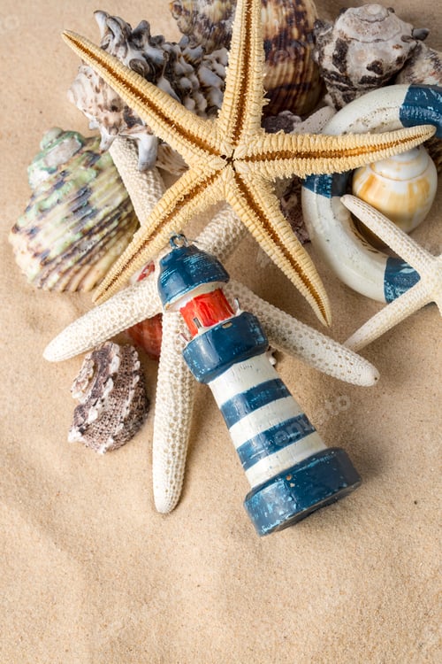 Preview: Starfishes, pearls, and amazing seashells close up