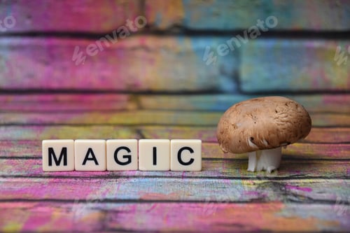 Preview: magic mushroom composition