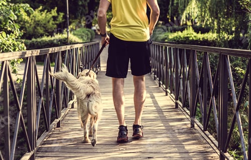 Preview: Man jogging across bridge with dog