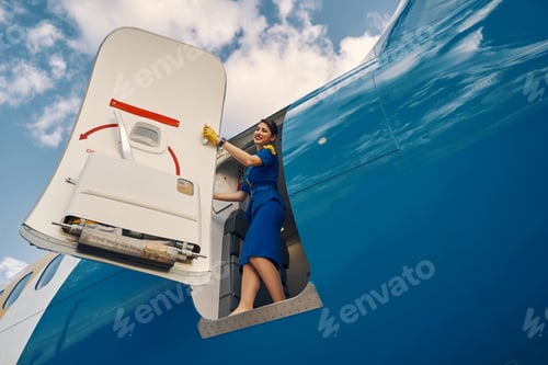Preview: Smiling stewardess standing in the doorway of the parked plane
