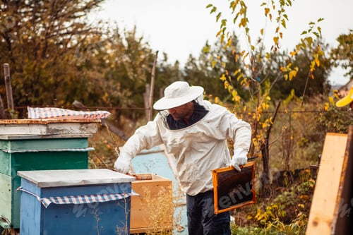 Preview: beekeeper works with bee hives