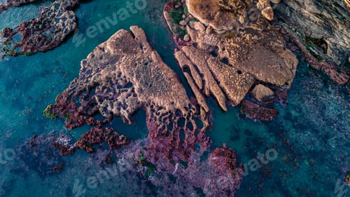 Preview: Drone View of Rugged Coastline on Vancouver Island's West Coast