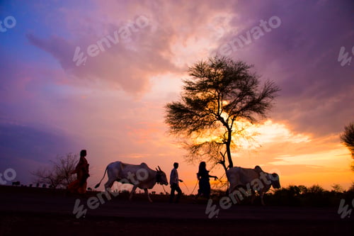 Preview: Sunset in village of India.