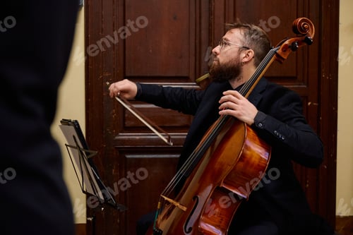 Preview: Musician performs during a concert at a historic church with elegant architecture
