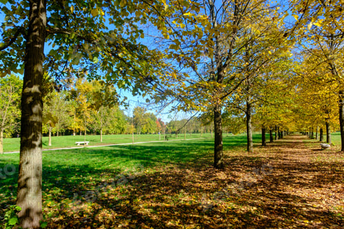 Preview: The Monza park at October