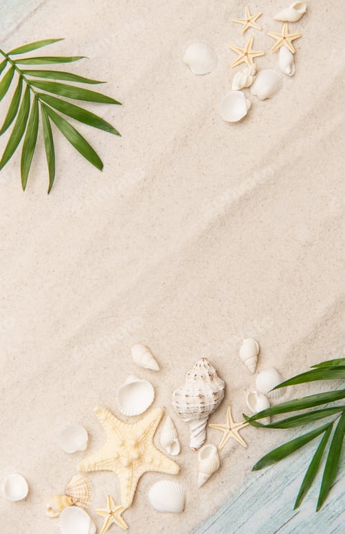 Preview: Tropical background featuring palm leaves, seashells, and starfish on sand