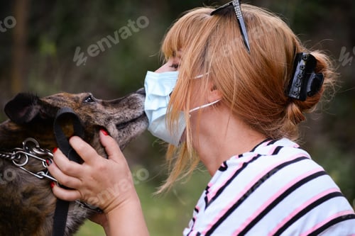 Preview: Woman in a protective mask on her face kisses the Australian Cattle Dog's face.