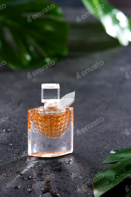 Preview: Women's perfume in beautiful bottle with green leaves on a black concrete background with bright