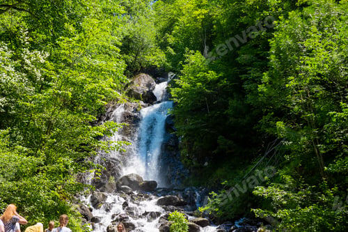 Preview: Hidden rain forest waterfall with lush foliage and mossy rocks.Tropical sunny landscape - fresh
