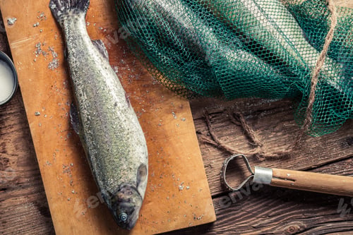 Preview: Preparing fish caught in fishing net
