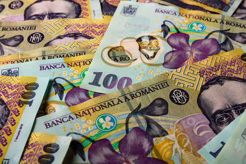Preview: Closeup of a Stack of LEI Romanian money