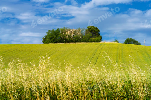 Preview: Rural landscape near Ostra Vetere and Cingoli, Marche, Italy