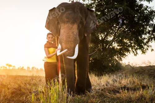 Preview: Elephant and woman in Thailand