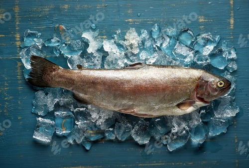 Preview: fresh raw fish