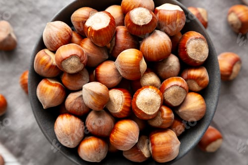 Preview: Organic Raw Hazelnuts in a Bowl, top view. Close-up.