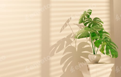 Preview: Monstera leaf isolated in an empty background, concept for design