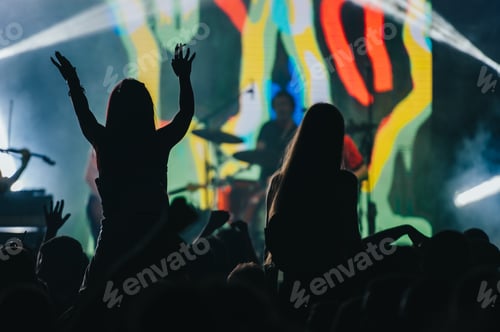 Preview: Two woman in the crowd at a music festival