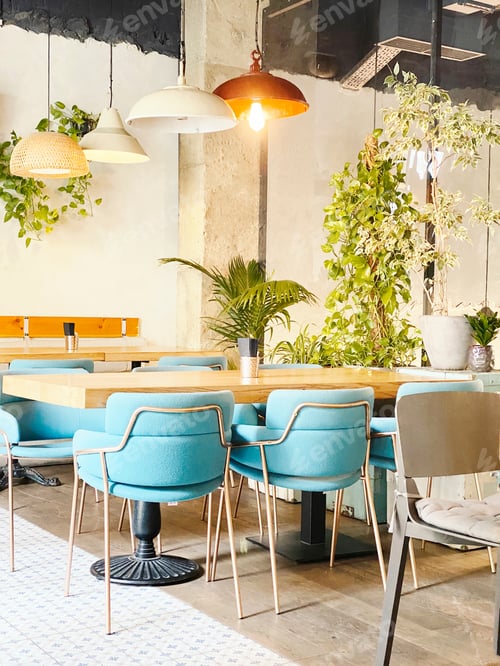 Preview: Interior inside restaurant with modern furniture and lots of plants.