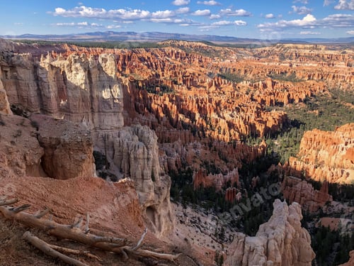 Preview: A stunning daytime view of Bryce Canyon’s iconic hoodoos, glowing in the sunlight under a clear sky