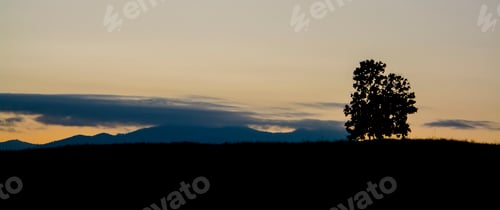 Preview: Mist in the mountain high with the silhouette tree
