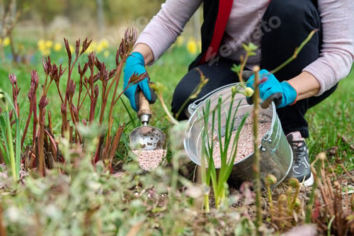 Preview: Spring work on flower bed in garden, in backyard, fertilizer
