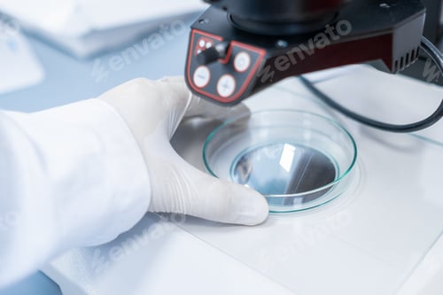 Preview: Scientist examining sample in Petri dish with a microscope. Modern biological laboratory.