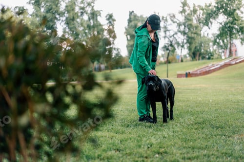 Preview: a woman trains a black dog of a large Cane Corso breed on a walk in the park praises and strokes pet