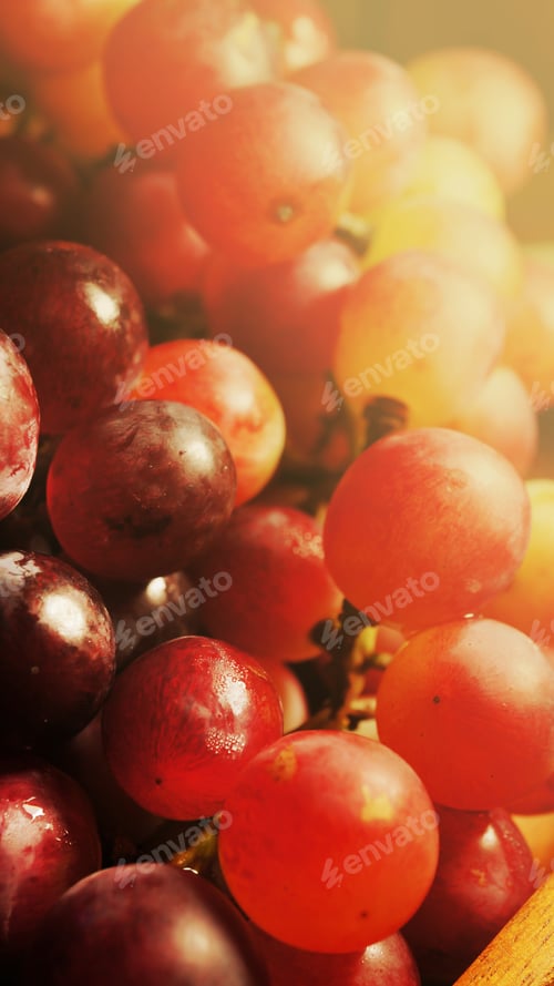 Preview: Ripe Grapes In Soft Color Style For Background