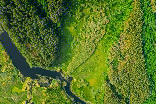 Preview: Aerial View Of Summer River Landscape In Sunny Summer Day. Top View Of Beautiful European Nature