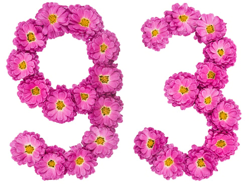 Preview: Arabic numeral 93, ninety three, from flowers of chrysanthemum, isolated on white background