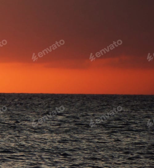 Preview: A Magical Aruba pictures