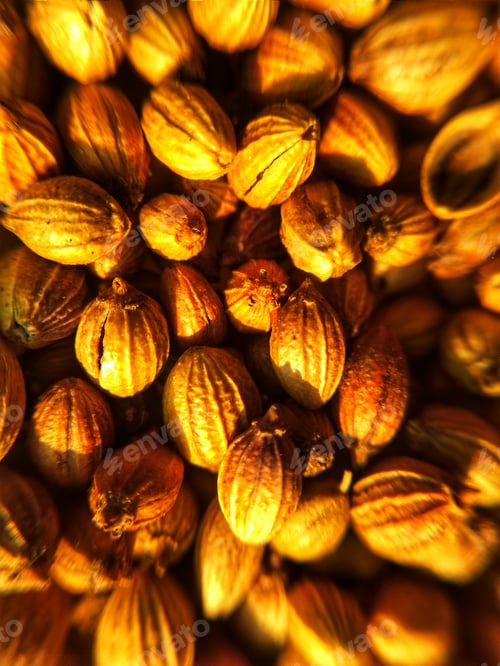Preview: Coriander Seeds