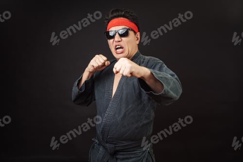 Preview: cool karate fighter in sunglasses